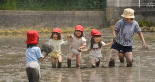 Giáo dục trẻ em ở Nhật Bản