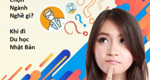 Chọn ngành nghề gì? khi đi du học Nhật Bản